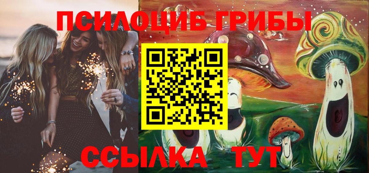 Ливны  Псилоцибиновые грибы прущие грибы  купить  цена  Вход с VPN 